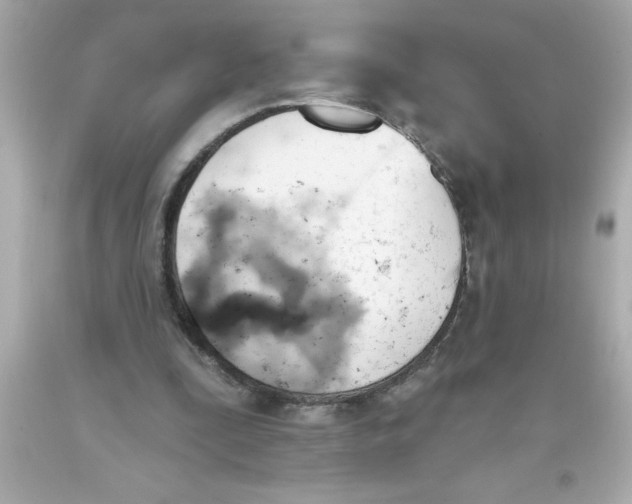 X0000093380295200711011255