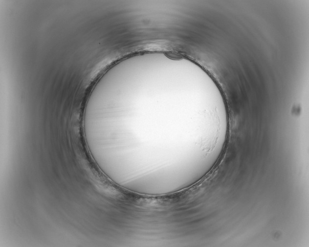 X0000093380297200711011255