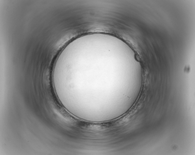 X0000093380298200711011255