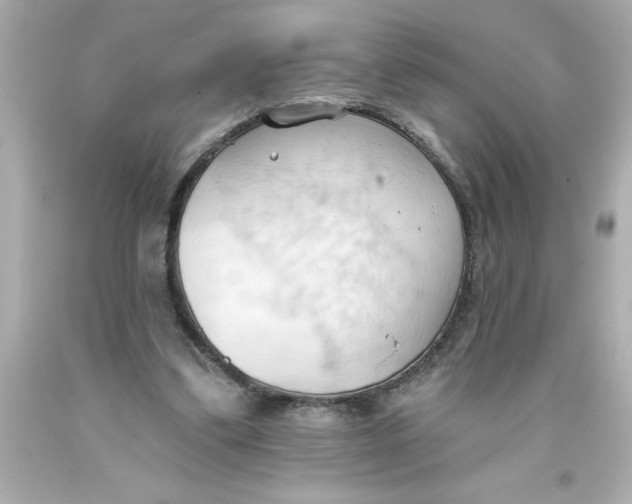 X0000093380299200711011255