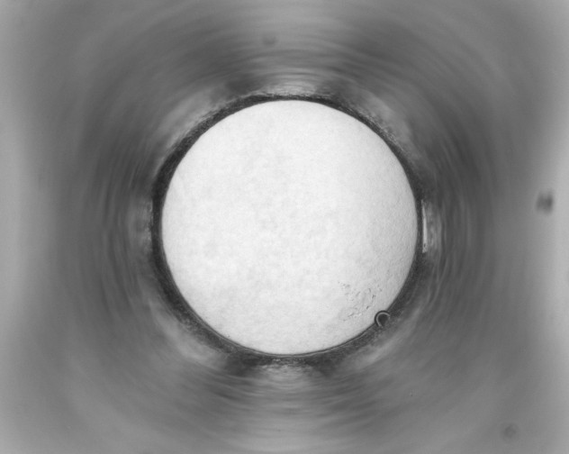 X0000093380300200711011255