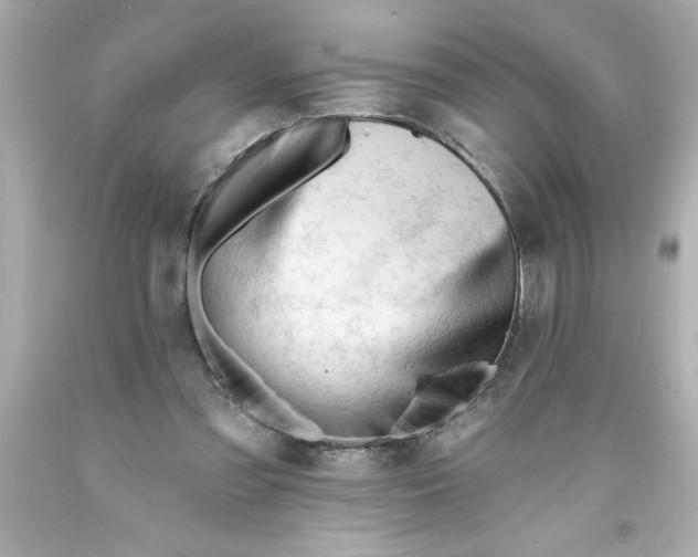 X0000093380301200711011255