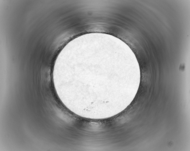 X0000093380302200711011255