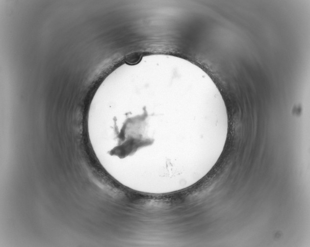 X0000093380303200711011255