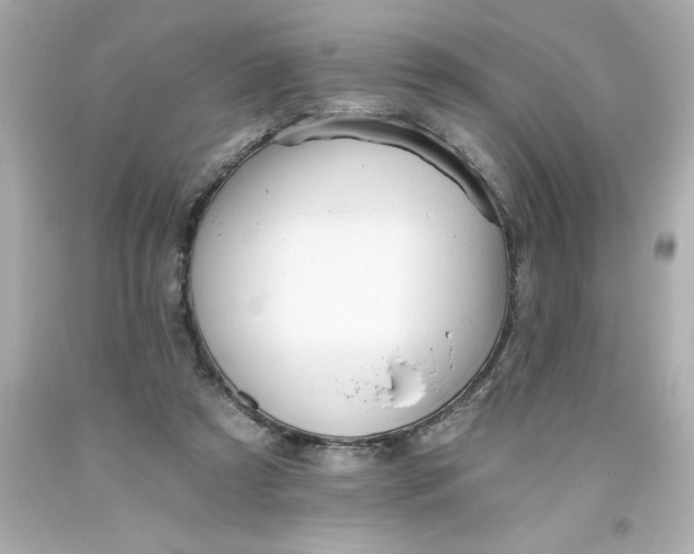 X0000093380305200711011255