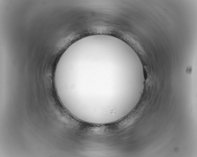 X0000093380306200711011255