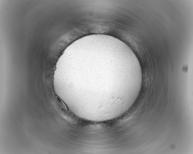 X0000093380307200711011255