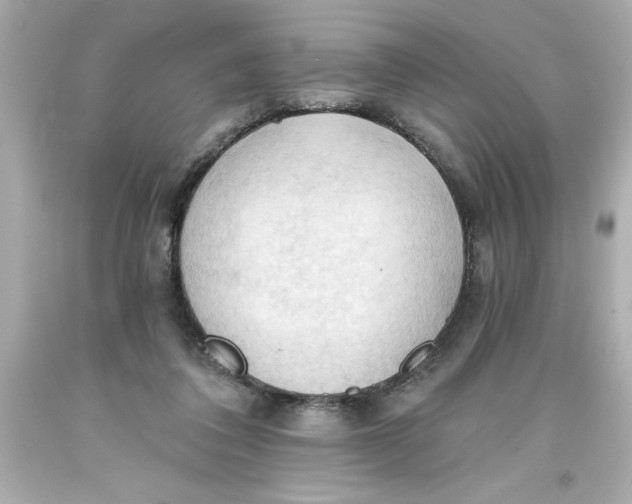 X0000093380308200711011255