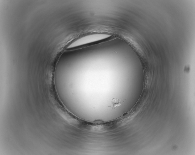 X0000093380309200711011255