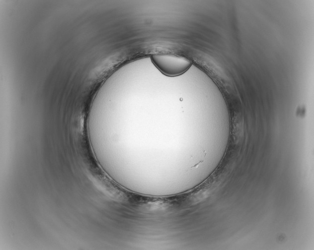 X0000093380310200711011255