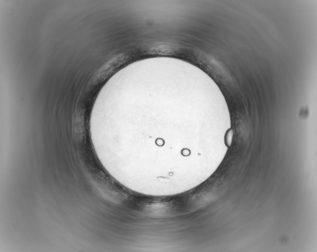 X0000093380312200711011255