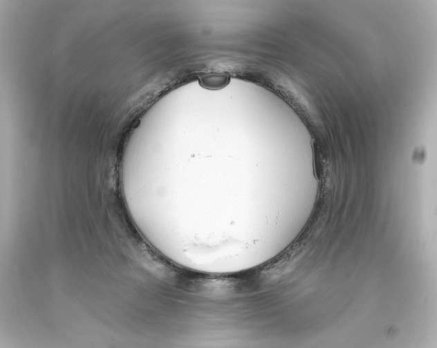 X0000093380313200711011255