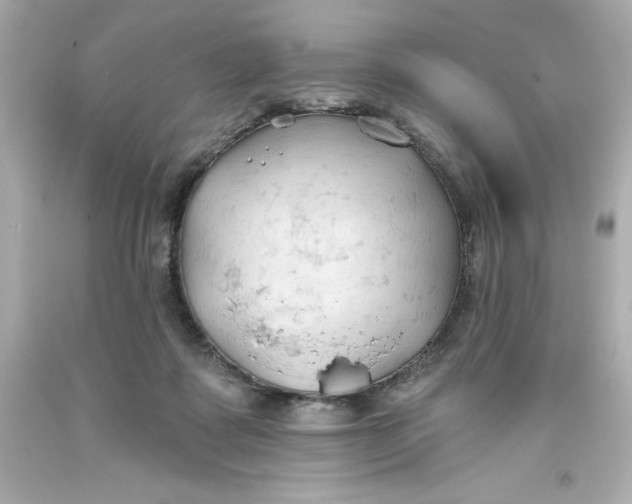 X0000093380315200711011255