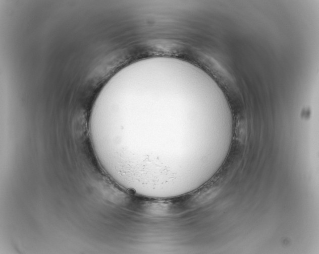 X0000093380318200711011255