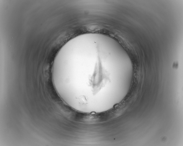 X0000093380319200711011255