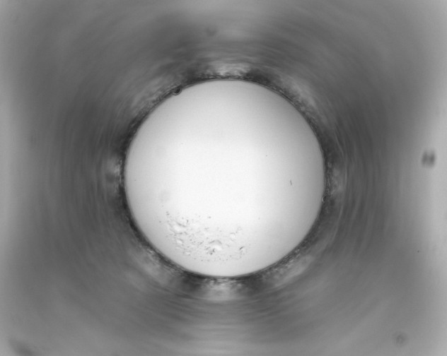 X0000093380321200711011255