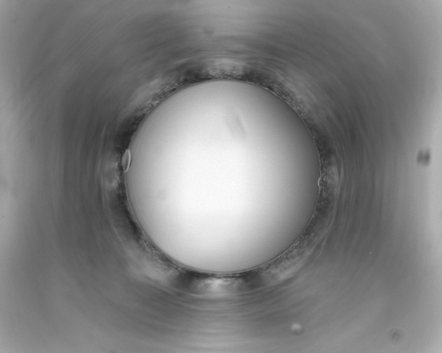 X0000093380323200711011255