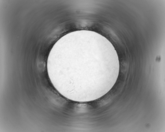 X0000093380324200711011255