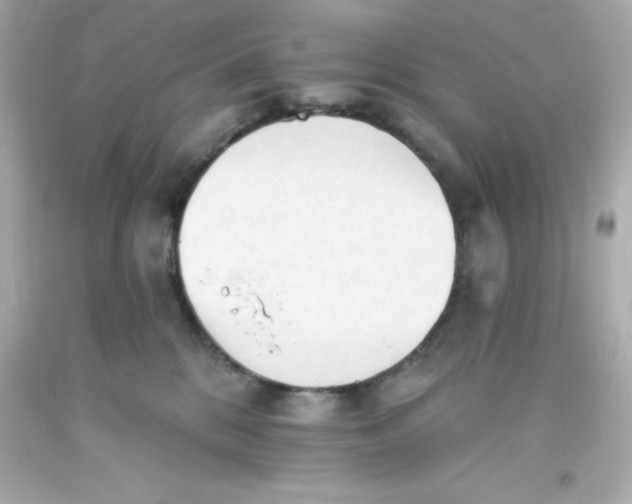 X0000093380328200711011255