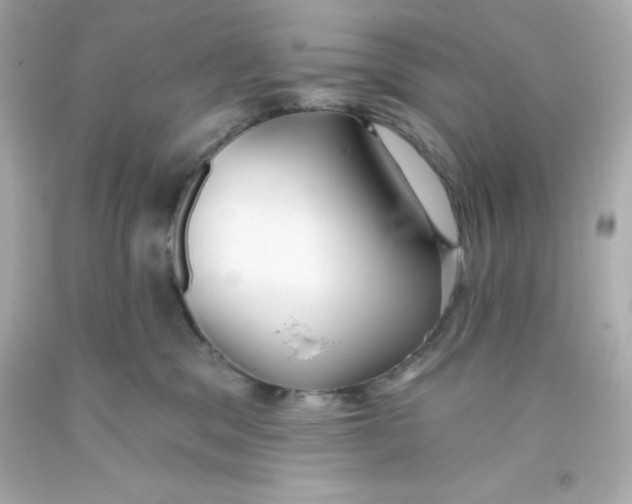 X0000093380329200711011254