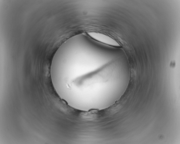 X0000093380331200711011254