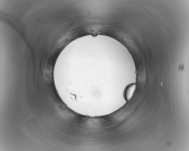 X0000093380332200711011254