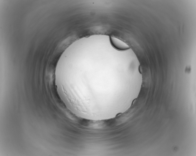 X0000093380334200711011254