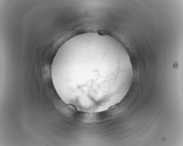 X0000093380335200711011254