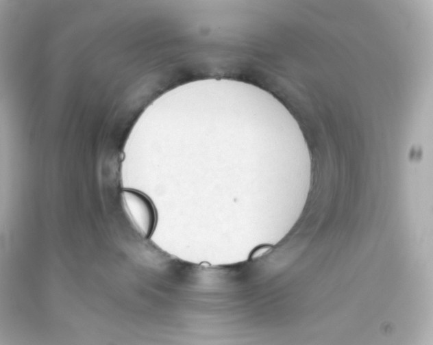 X0000093380336200711011254