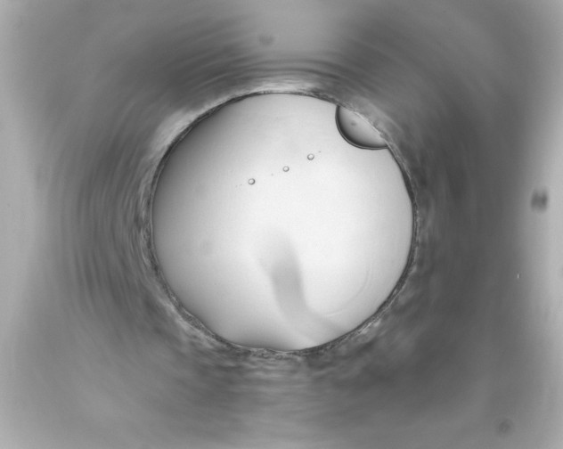 X0000093380337200711011254