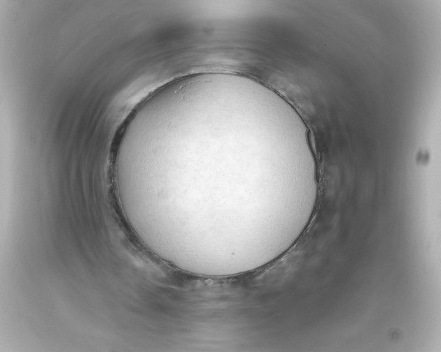 X0000093380338200711011254