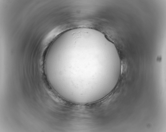 X0000093380339200711011254