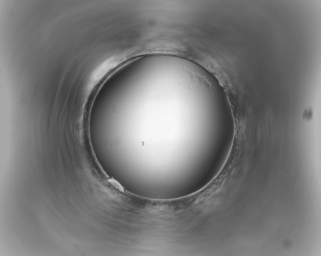 X0000093380340200711011254