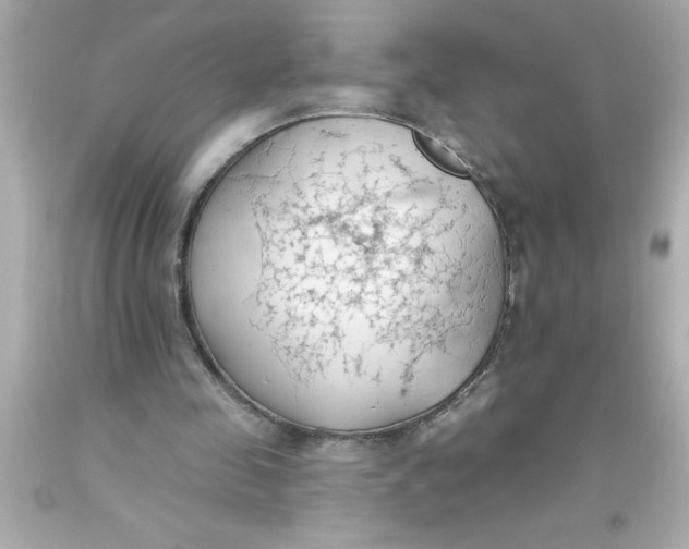 X0000093380341200711011254