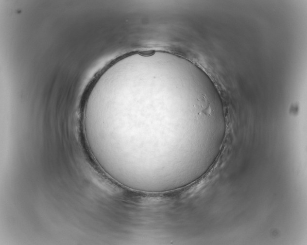 X0000093380342200711011254