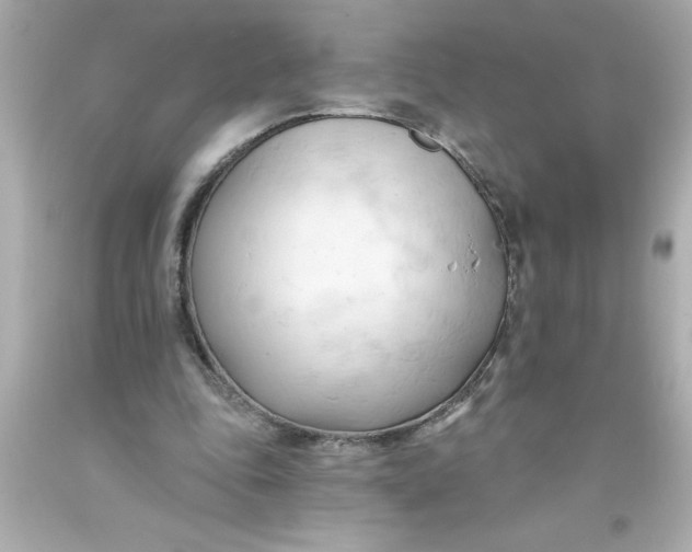 X0000093380343200711011254