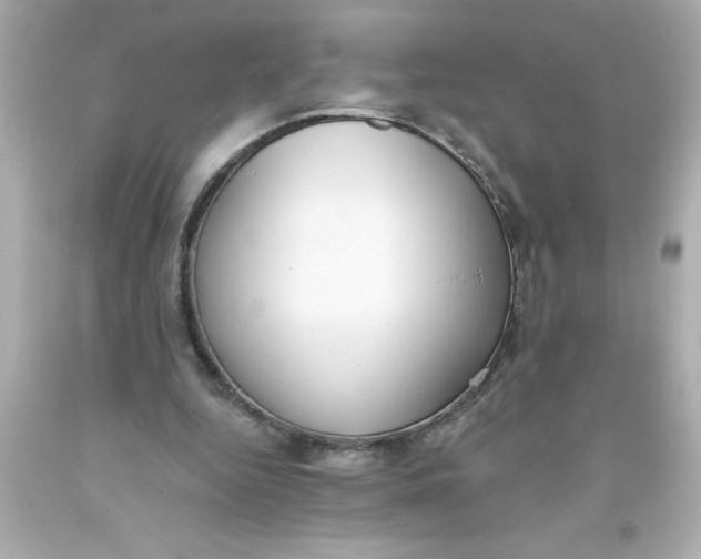 X0000093380344200711011254