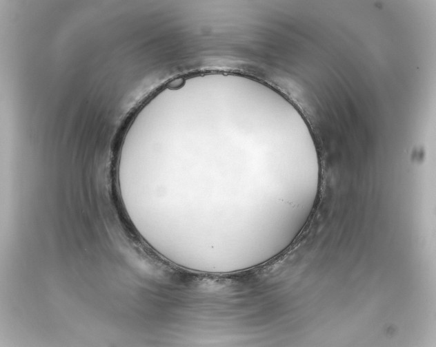 X0000093380346200711011254