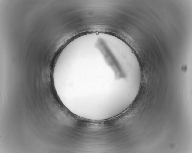 X0000093380347200711011254