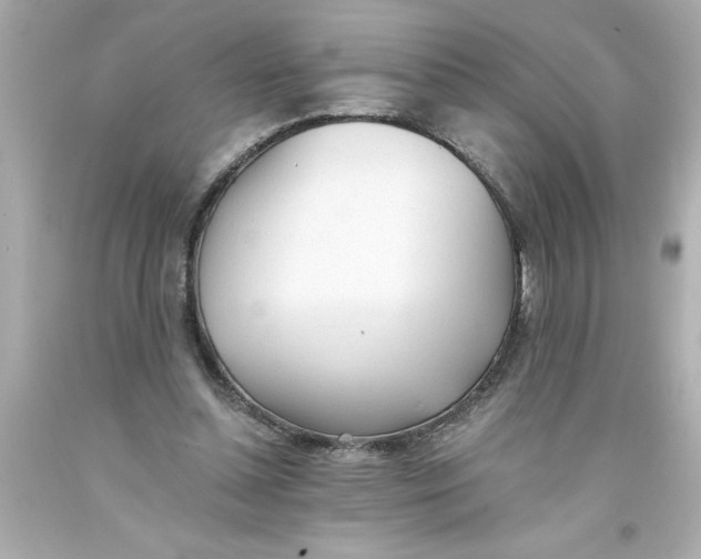 X0000093380348200711011254