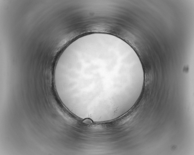 X0000093380349200711011254