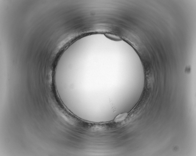 X0000093380350200711011254