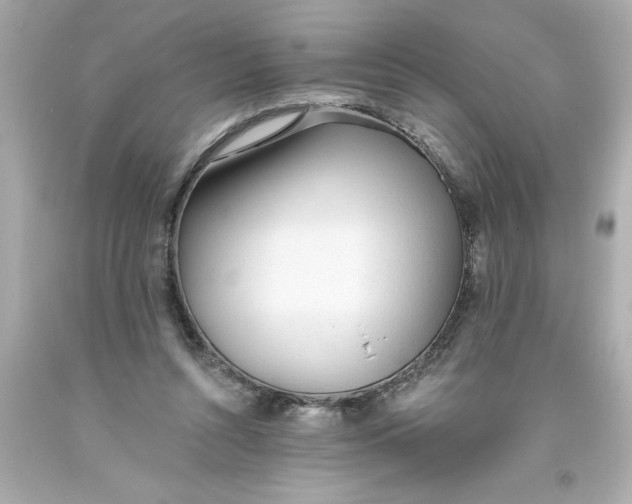 X0000093380352200711011254