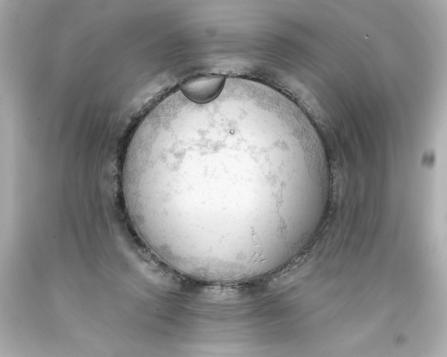 X0000093380354200711011254