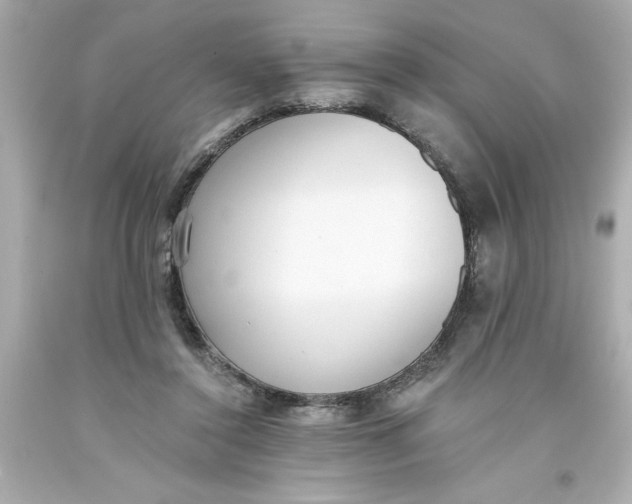 X0000093380356200711011254