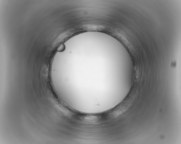 X0000093380357200711011254