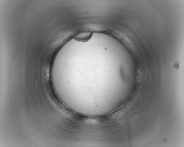 X0000093380358200711011254