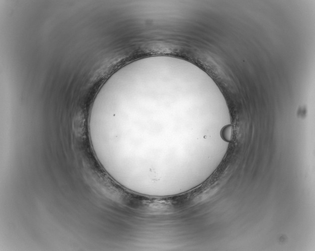 X0000093380359200711011254