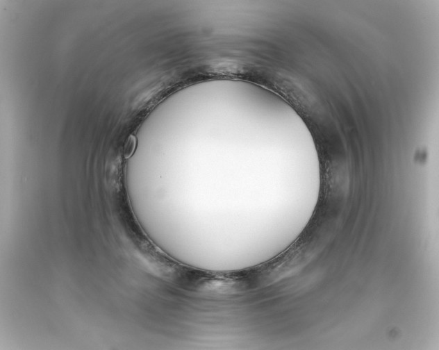 X0000093380364200711011254