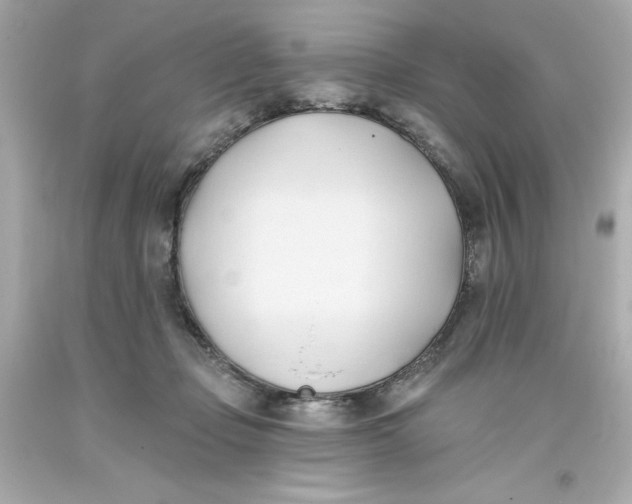 X0000093380365200711011254